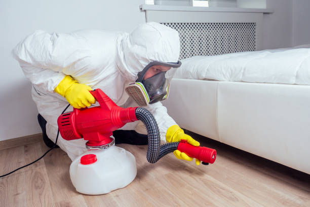 Best Bed Bug Extermination  in Gordo, AL