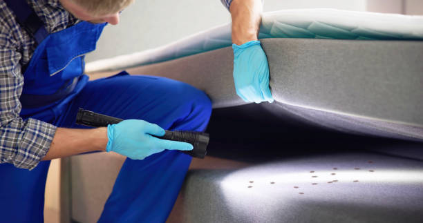 Best Exterminator Services  in Gordo, AL