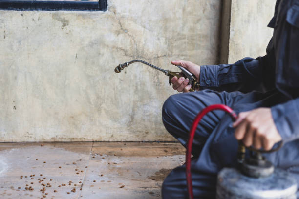 Best Cockroach Control Services  in Gordo, AL